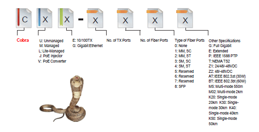 fl[~O[PoE Switches